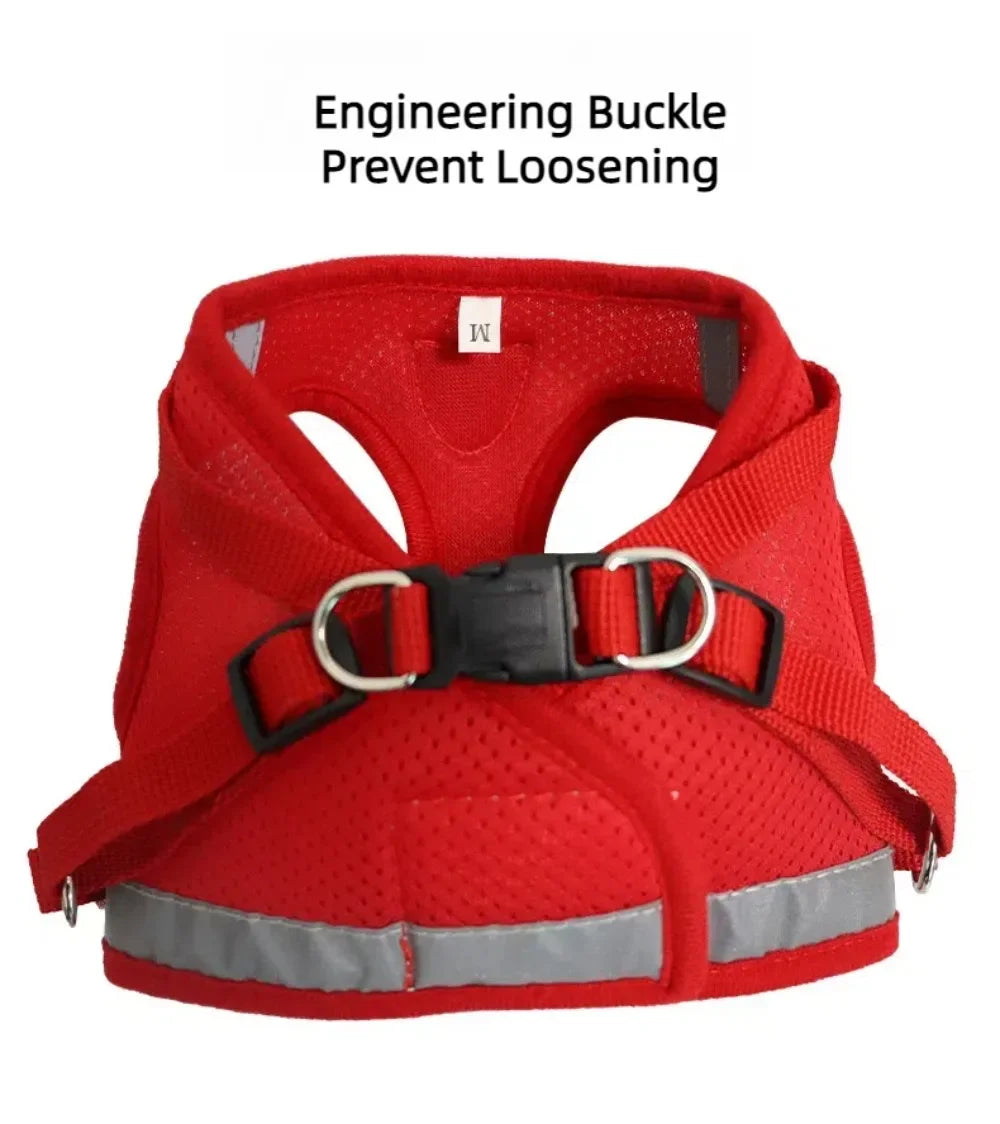 Pawlio Reflective Cat Harness & Leash