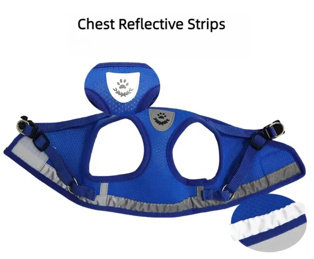 Pawlio Reflective Cat Harness & Leash