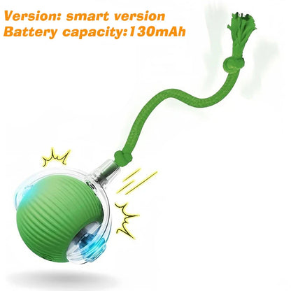 Pawlio Smart Rolling Ball