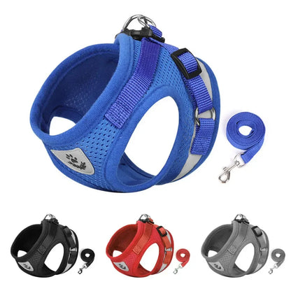 Pawlio Reflective Cat Harness & Leash