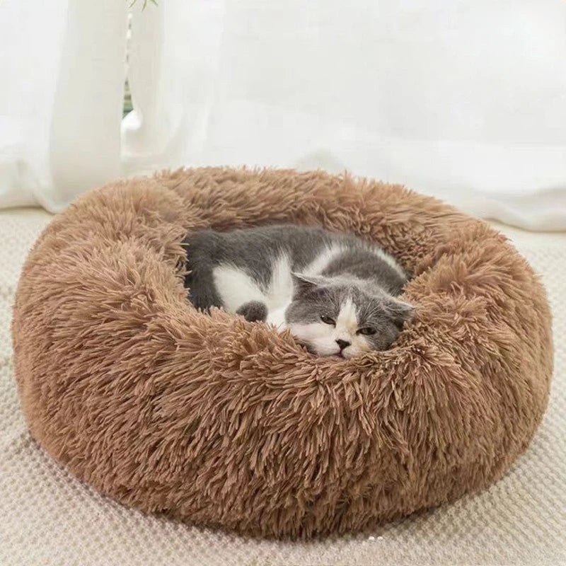 Pawlio Plush Round Pet Bed