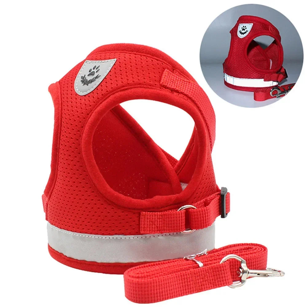 Pawlio Reflective Cat Harness & Leash