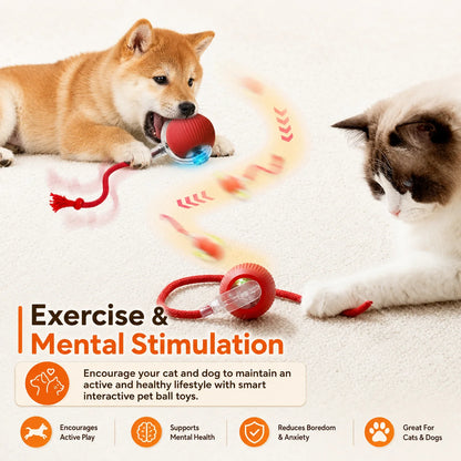 Pawlio Smart Rolling Ball