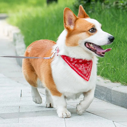 Pawlio Bandana Dog & Cat Collar
