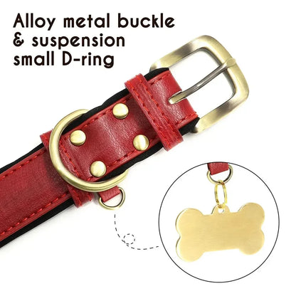 Pawlio Personalized ID Dog Collar