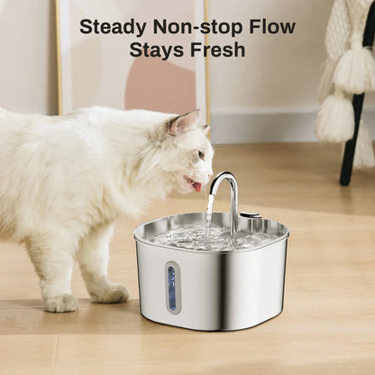 Pawlio Stainless Steel 2.2L Dog or Cat Water Fountain