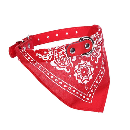 Pawlio Bandana Dog & Cat Collar