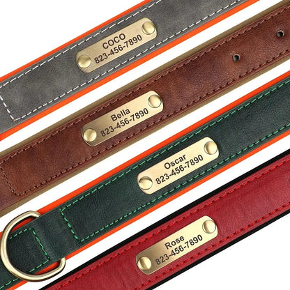 Pawlio Personalized ID Dog Collar