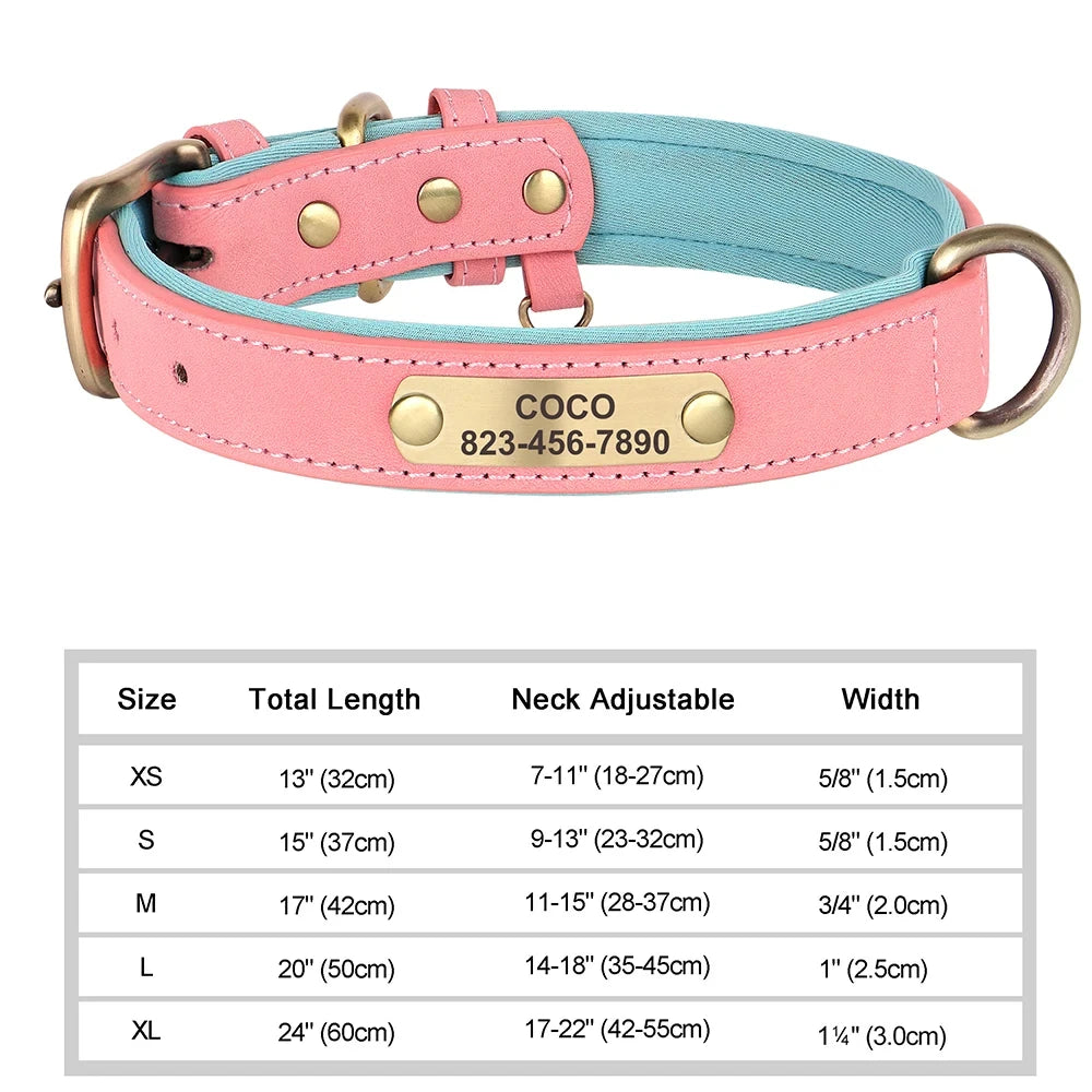 Pawlio Personalized ID Dog Collar