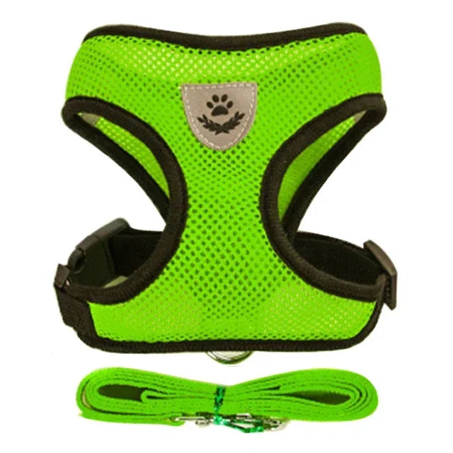 Pawlio Mesh Harness & Leash Set
