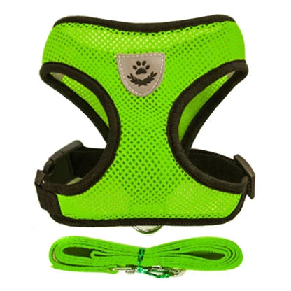 Pawlio Mesh Harness & Leash Set