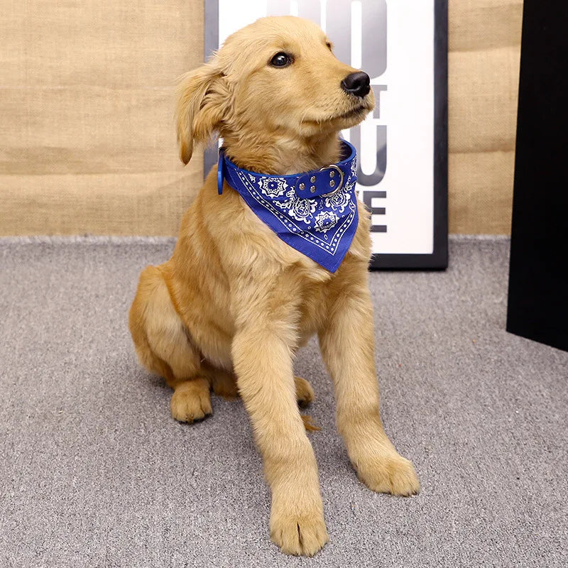 Pawlio Bandana Dog & Cat Collar