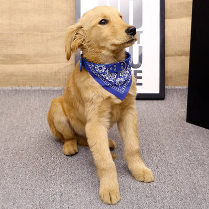 Pawlio Bandana Dog & Cat Collar