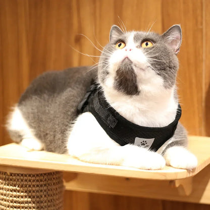 Pawlio Reflective Cat Harness & Leash