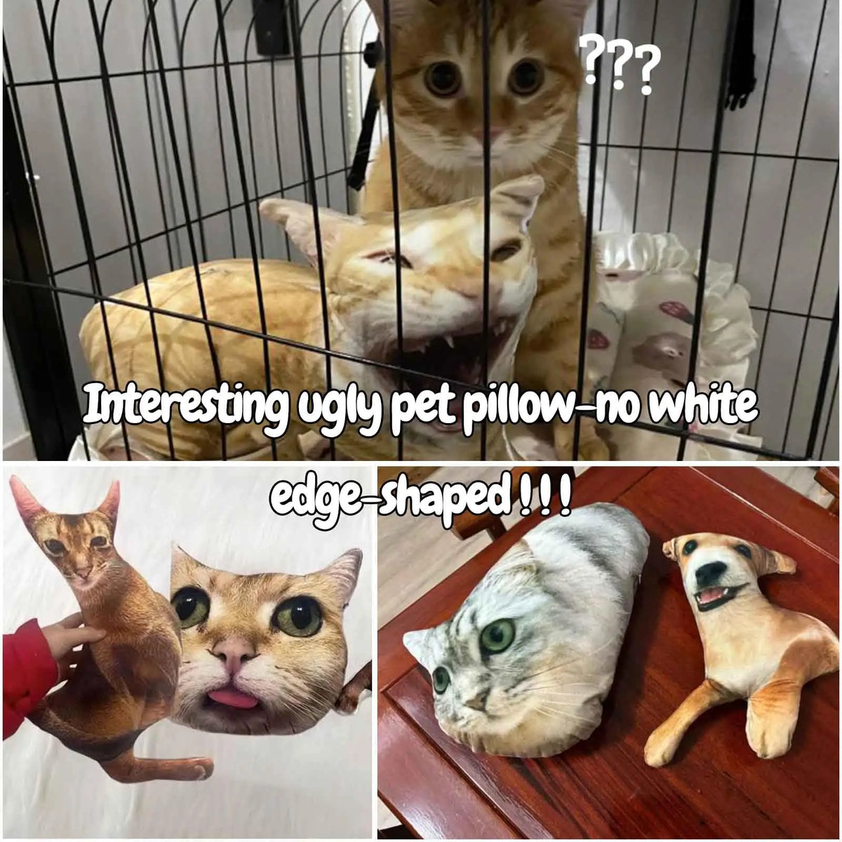 Pawlio Custom Pet Portrait Pillow