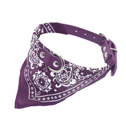 Pawlio Bandana Dog & Cat Collar