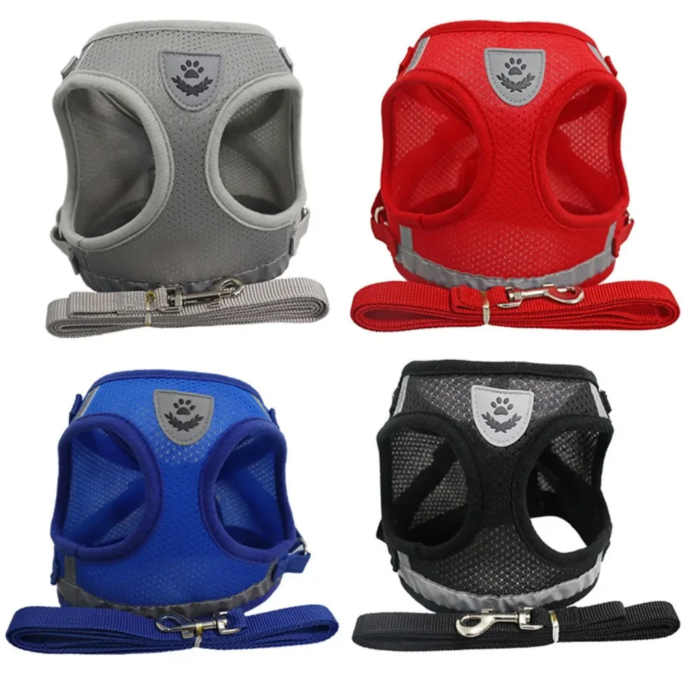 Pawlio Reflective Cat Harness & Leash