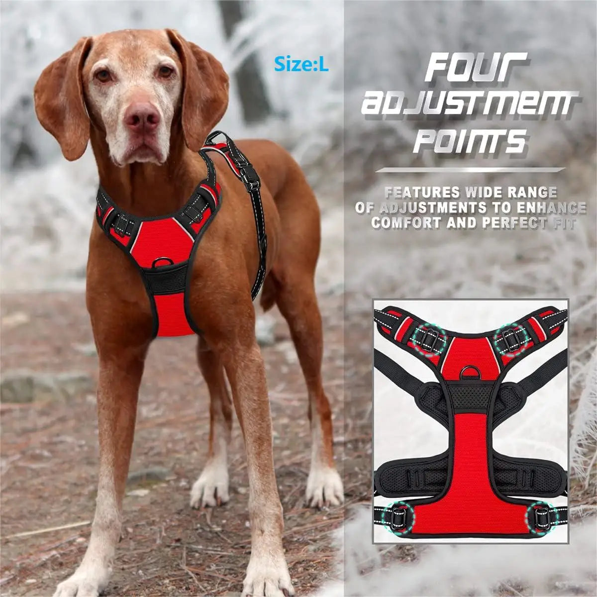 Pawlio Front-Clip Reflective Harness