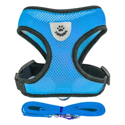 Pawlio Mesh Harness & Leash Set