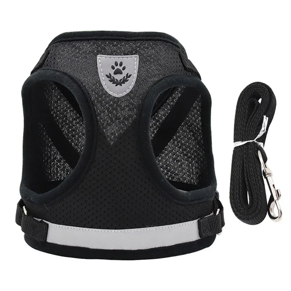 Pawlio Reflective Cat Harness & Leash