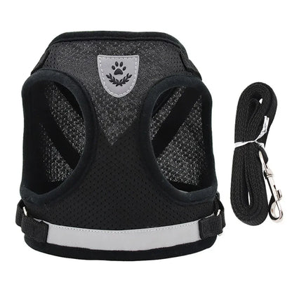 Pawlio Reflective Cat Harness & Leash