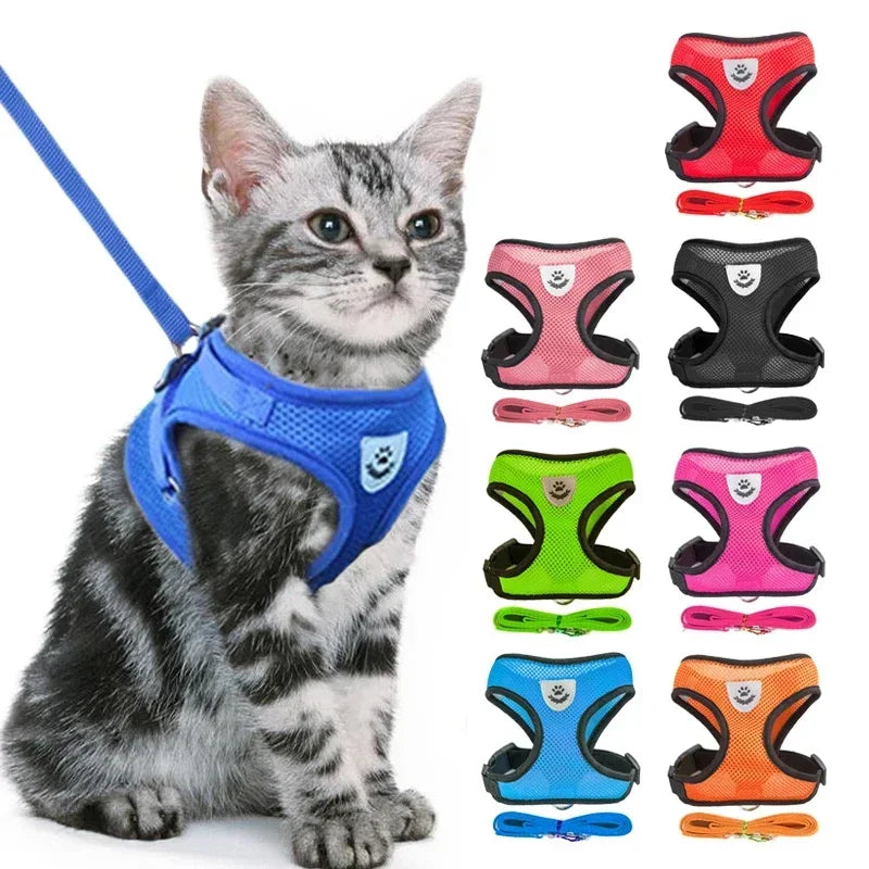 Pawlio Mesh Harness & Leash Set