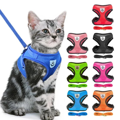 Pawlio Mesh Harness & Leash Set